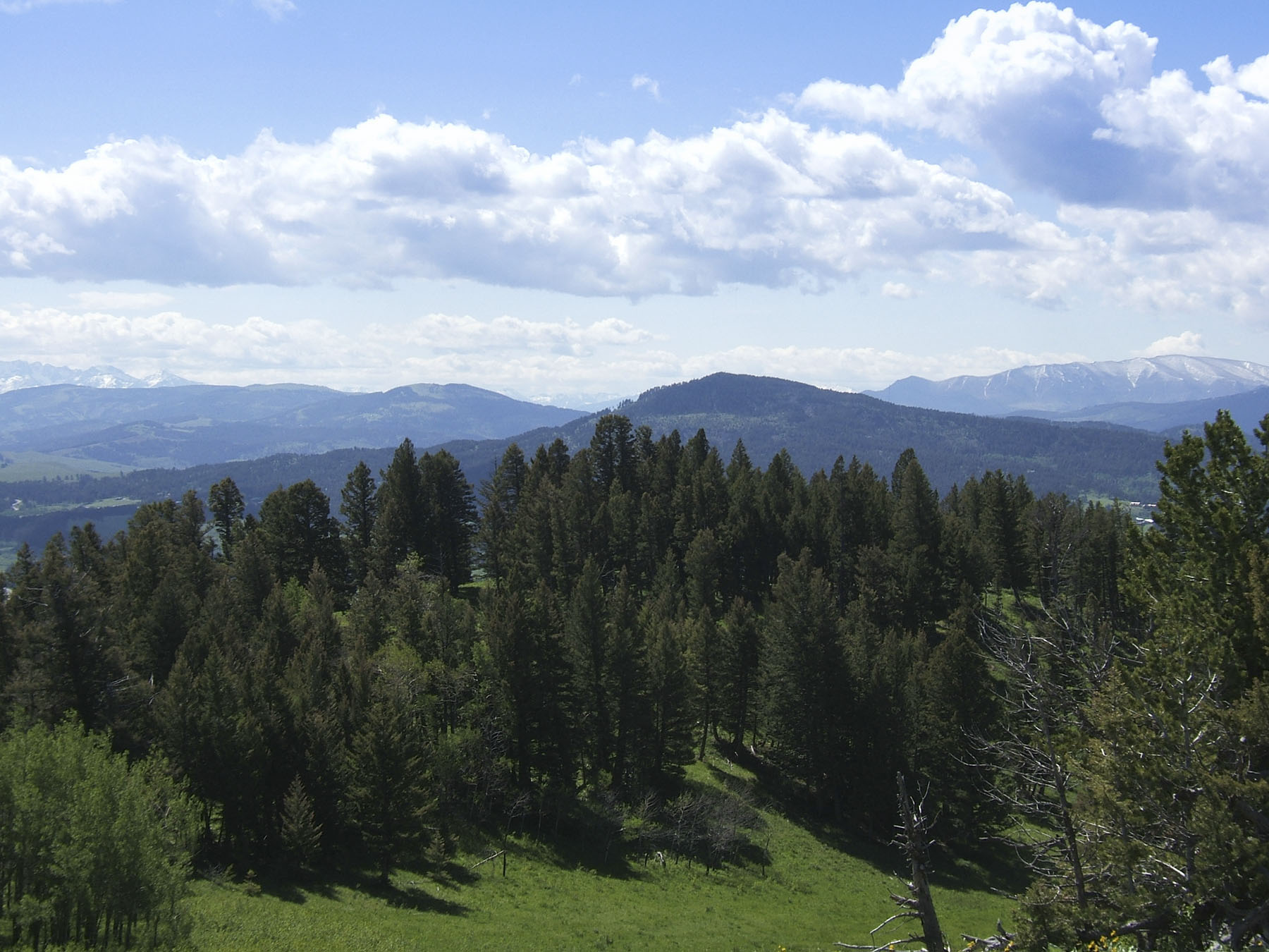 Timber Ridge Ranch Sold Montana Hall and Hall